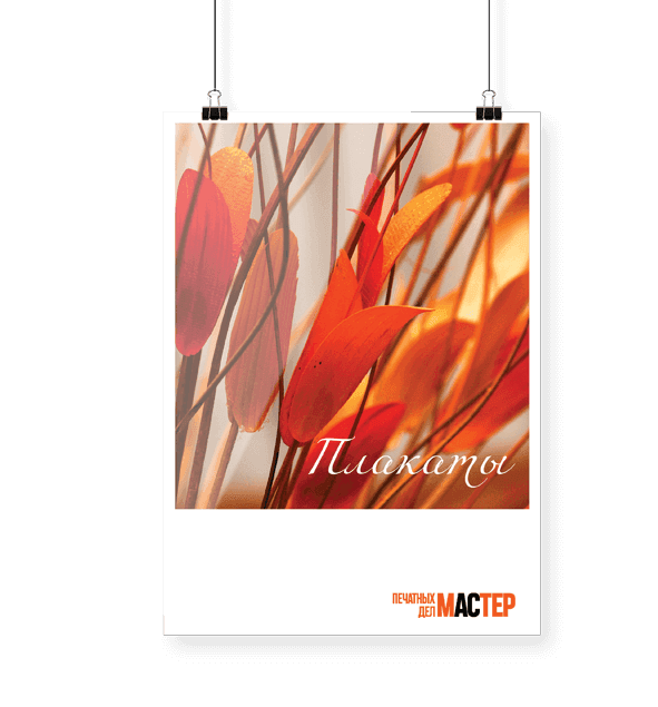 Плакаты